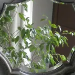 Apartman Center Nápoly