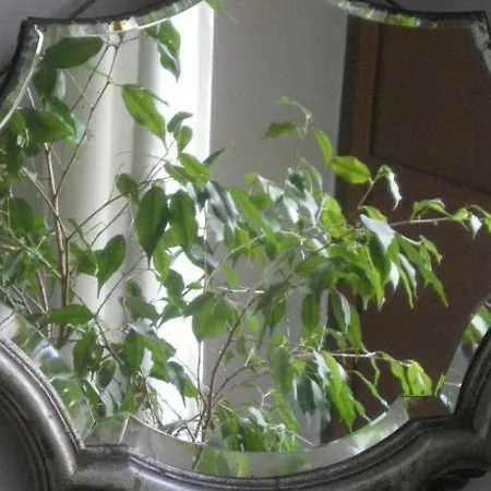 Apartment Center Naples